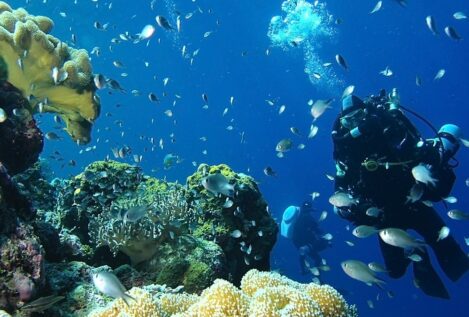 La ciencia española busca cambiar la historia del cáncer de pulmón más agresivo