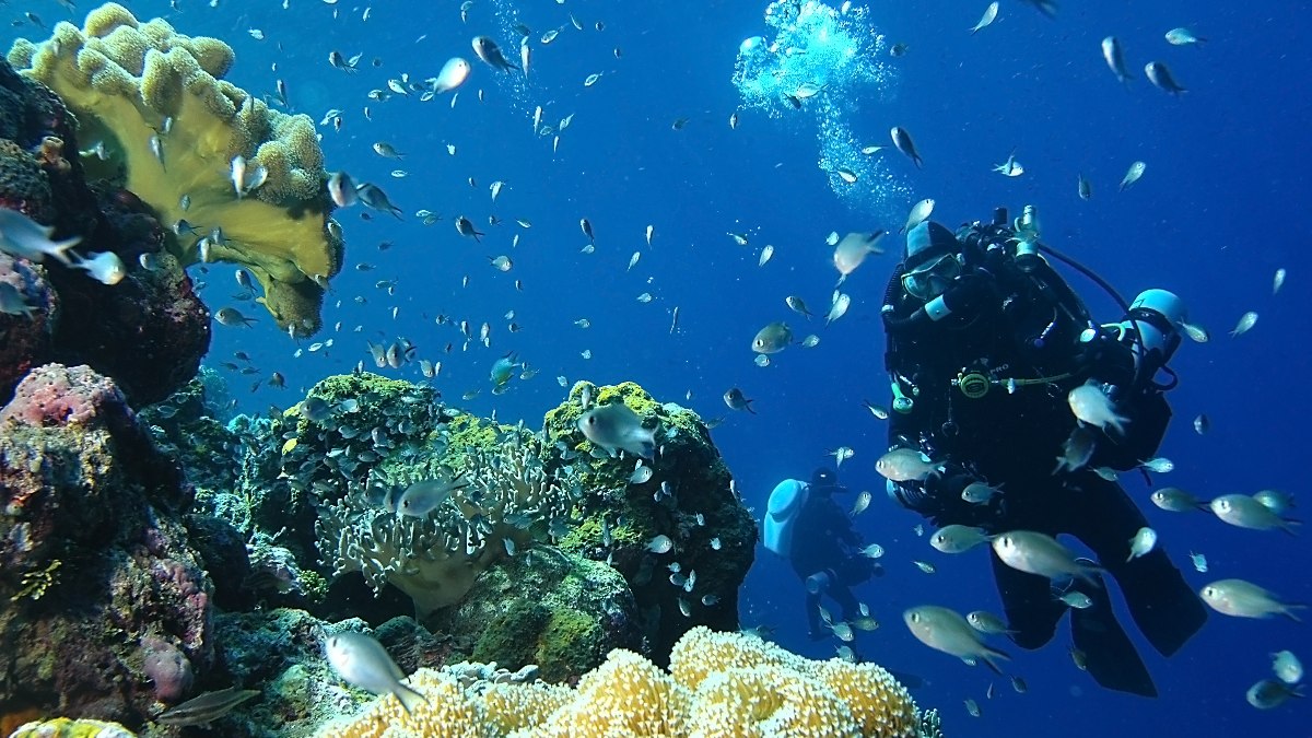 La ciencia española busca cambiar la historia del cáncer de pulmón más agresivo
