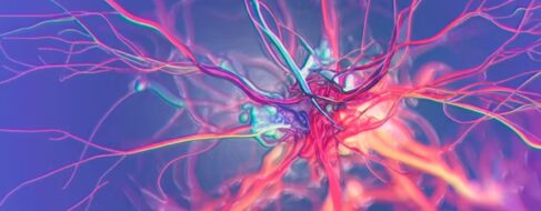 El cerebro no sólo piensa, también quema grasa