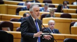 Torres pidió perdón a Koldo por la tardanza en los pagos pendientes de mascarillas a la trama