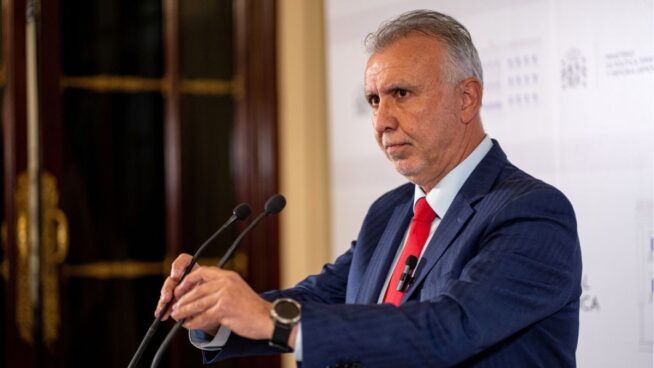 Vox se querella contra Torres «tras detectar mentiras en su declaración en el Senado»