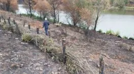 La CHD trabaja para evitar que sedimentos y cenizas de los incendios lleguen a los cauces