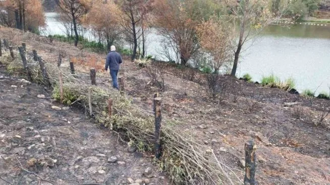 La CHD trabaja para evitar que sedimentos y cenizas de los incendios lleguen a los cauces