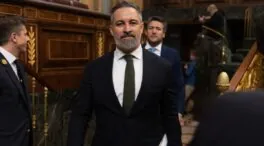 Vox quiere personarse como acusación en el caso de mascarillas de la Diputación de Almería