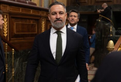 Vox quiere personarse como acusación en el caso de mascarillas de la Diputación de Almería