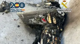 Cae una red que enviaba cocaína en camiones desde España a otros países europeos