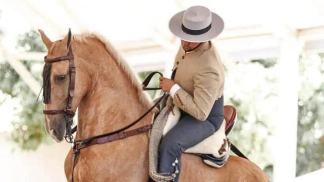 La Junta quiere declarar la doma vaquera Bien de Interés Cultural inmaterial en CyL