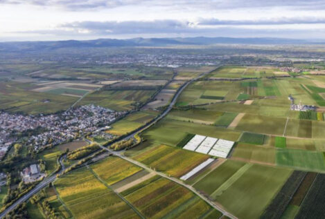 ACS y Vulcan Energy desarrollarán el mayor proyecto de producción de litio en Europa
