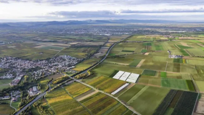 ACS y Vulcan Energy desarrollarán el mayor proyecto de producción de litio en Europa