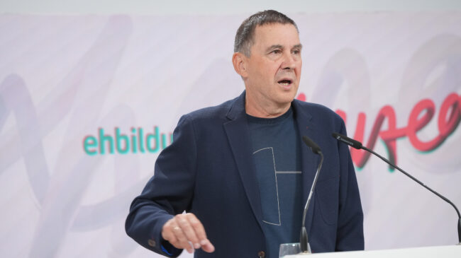 Otegi compareció este lunes como perjudicado ante un juez tras recibir amenazas de muerte