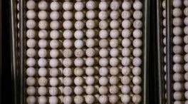 Ganar 'el gordo' es como encontrar un grano concreto de arroz en treinta platos de paella