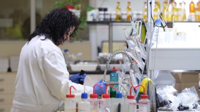 Educación destina 2,25 millones en el programa 'Andrés Laguna' con 15 investigadores