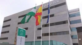 El 'caso mascarillas' de Almería pasa a un nuevo juzgado tras la abstención de la juez