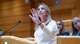 El PP pide la comparecencia de Cuerpo en el Senado por «la Navidad más cara de la historia»