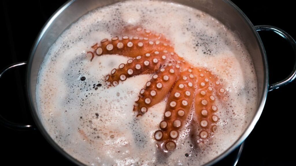Un pulpo cociendo. Canva.