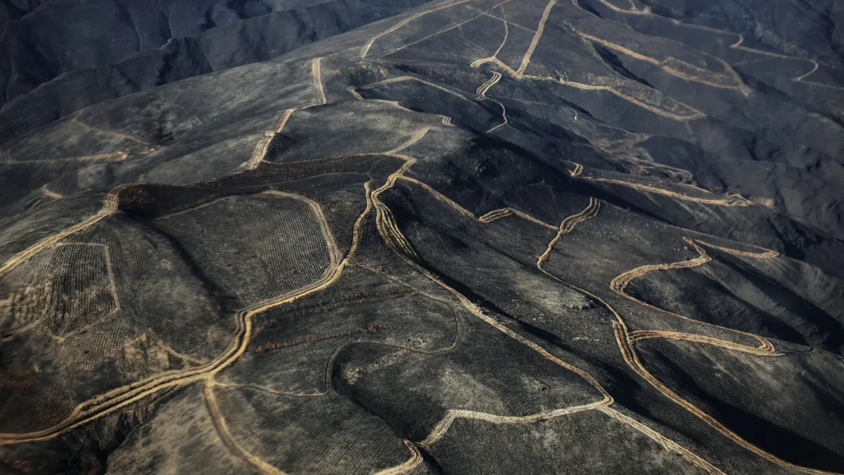 De los incendios al regreso de Rosalía: 2025 en 25 noticias… y 25 fotos