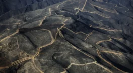 De los incendios al regreso de Rosalía: 2025 en 25 noticias... y 25 fotos