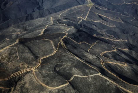 De los incendios al regreso de Rosalía: 2025 en 25 noticias... y 25 fotos