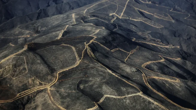 De los incendios al regreso de Rosalía: 2025 en 25 noticias... y 25 fotos