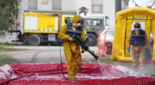 Un informe no descarta que el brote de peste porcina en Cataluña proceda de un laboratorio