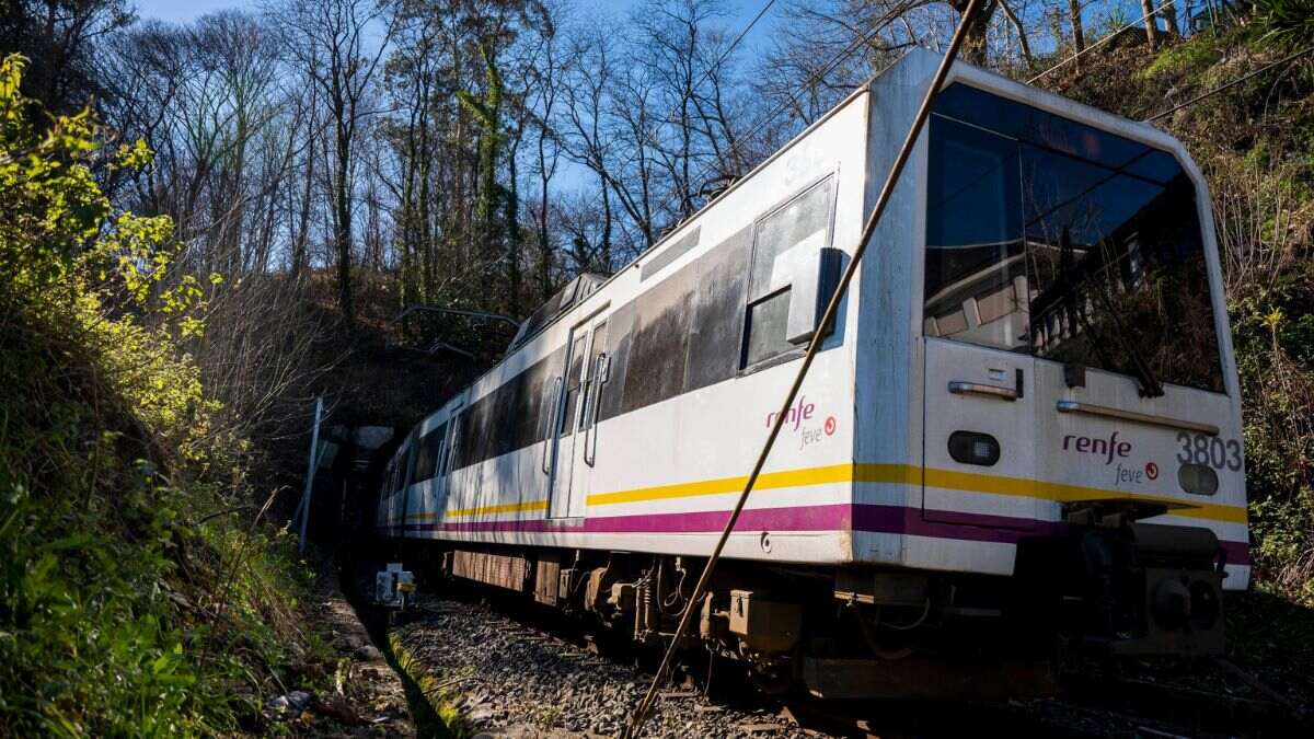 Abono de transporte único en España: guía completa y fecha de entrada en vigor