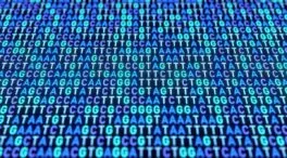 Encuentran señales genéticas comunes en 14 trastornos psiquiátricos distintos