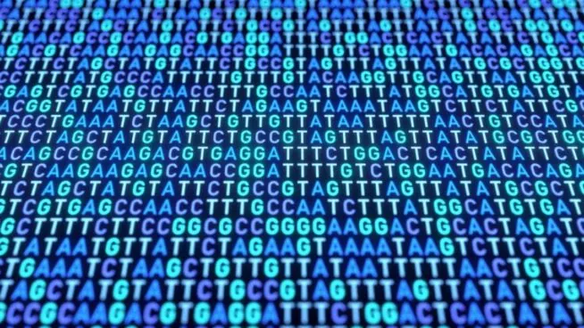 Encuentran señales genéticas comunes en 14 trastornos psiquiátricos distintos