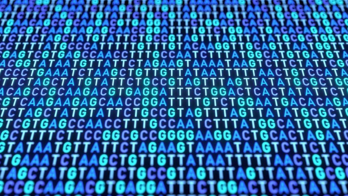 Encuentran señales genéticas comunes en 14 trastornos psiquiátricos distintos