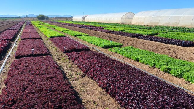 Reducir los envíos del trasvase Tajo-Segura pone en riesgo el desarrollo económico de la Región de Murcia