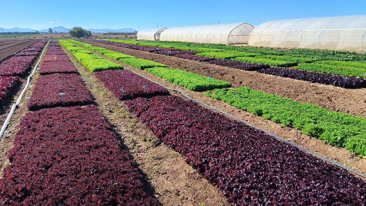 Reducir los envíos del trasvase Tajo-Segura pone en riesgo el desarrollo económico de la Región de Murcia