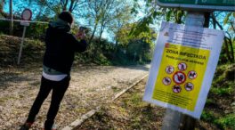 Miles de cerdos sacrificados y pérdidas millonarias por la peste porcina en la UE