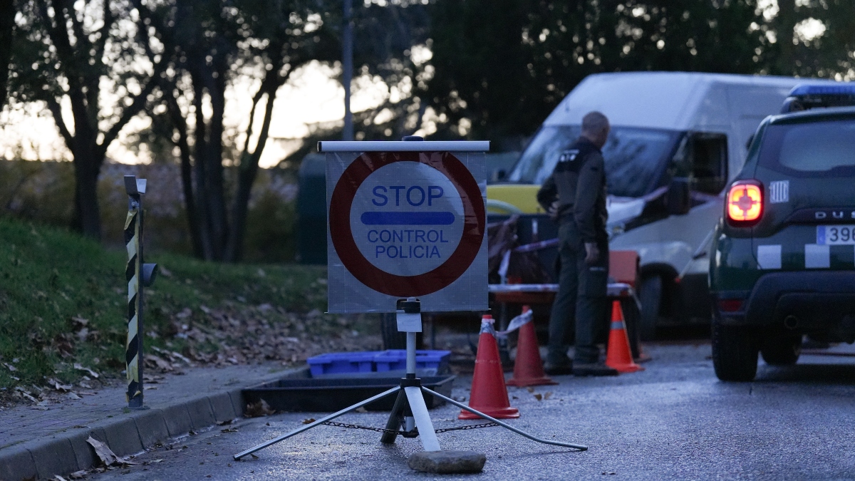 Confirmado un nuevo jabalí muerto por peste porcina africana dentro del radio del primer foco