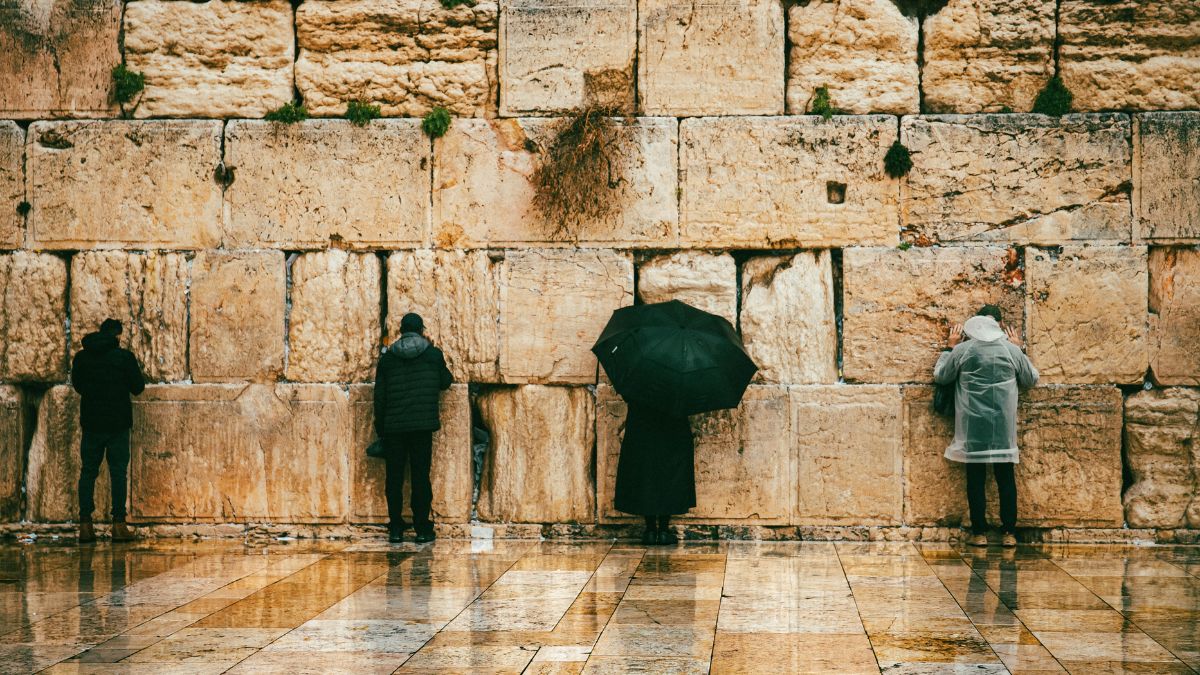 Contra la amnesia general