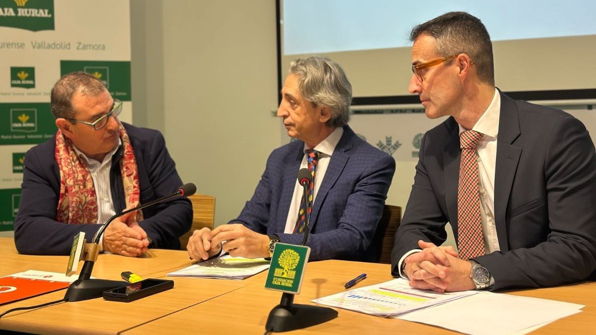 El Colegio de Economistas alerta de un «desaforado gasto público» en Zamora