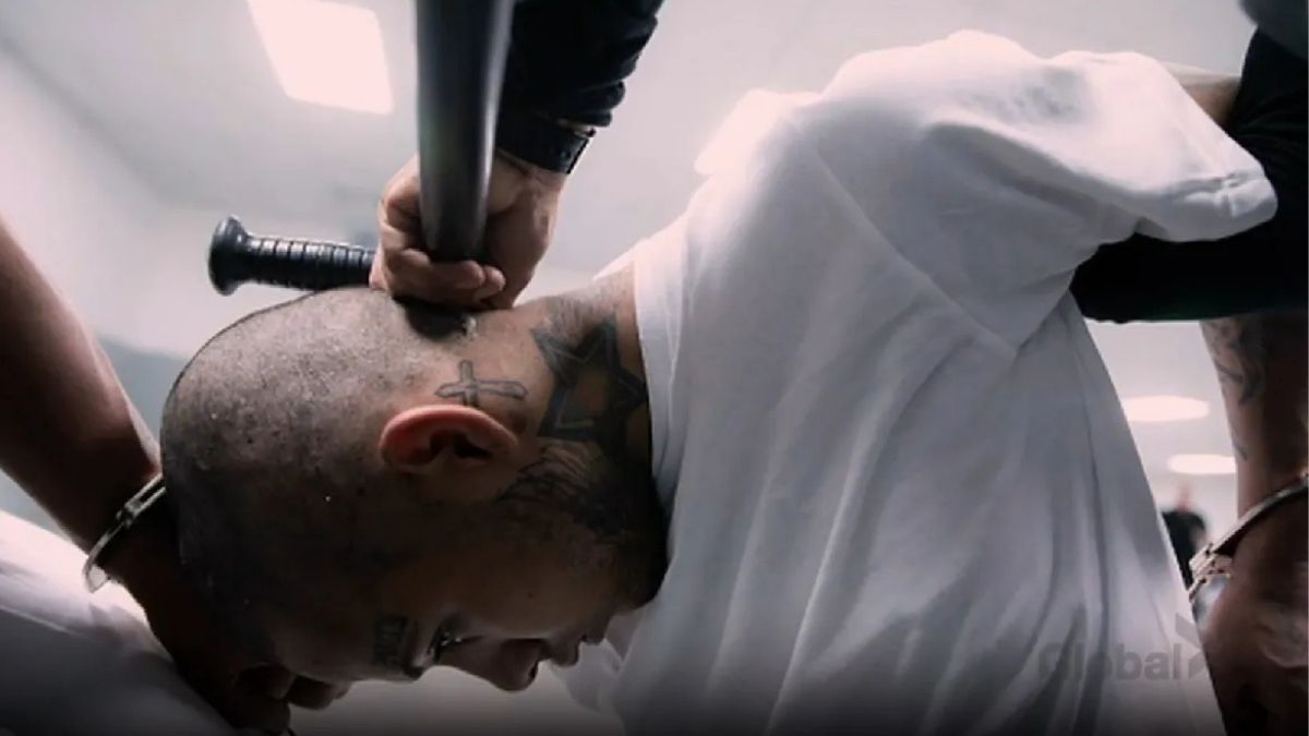 El mundo hoy, 23 de diciembre de  2025: lo que tienes que saber