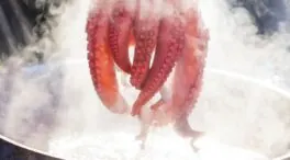 José Andrés revela su truco infalible para conseguir un pulpo tierno antes de cocerlo