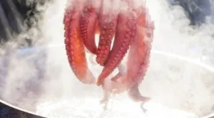 José Andrés revela su truco infalible para conseguir un pulpo tierno antes de cocerlo