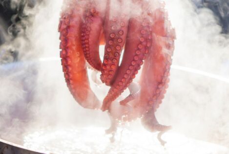 José Andrés revela su truco infalible para conseguir un pulpo tierno antes de cocerlo