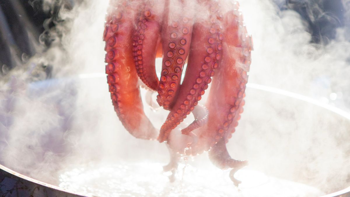 José Andrés revela su truco infalible para conseguir un pulpo tierno antes de cocerlo