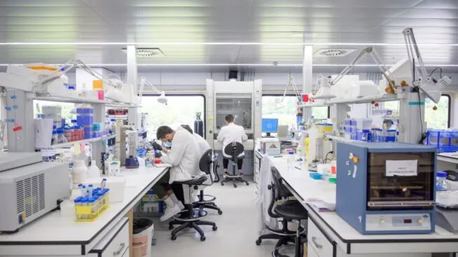 El Centro del Cáncer de Salamanca crea un 'mini-colon' capaz de iniciar tumores in vitro