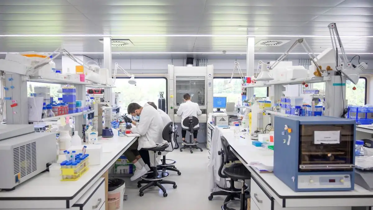 El Centro del Cáncer de Salamanca crea un ‘mini-colon’ capaz de iniciar tumores in vitro