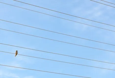 Las eléctricas llevarán a los tribunales la tasa de la CNMC pese al criterio del Consejo de Estado