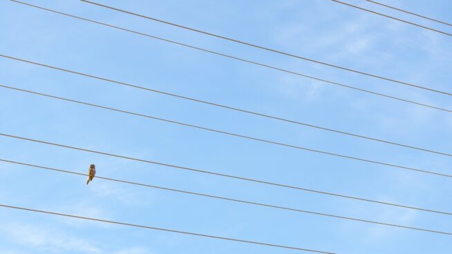 Las eléctricas llevarán a los tribunales la tasa de la CNMC pese al criterio del Consejo de Estado