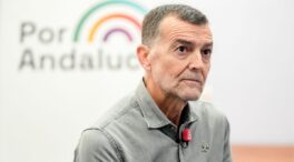 Maíllo (IU) admite diferencias con Díaz en su gestión del espacio de la izquierda