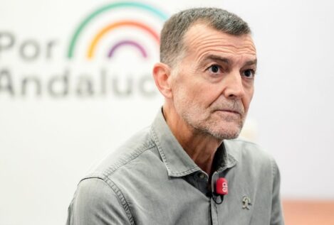 Maíllo (IU) admite diferencias con Díaz en su gestión del espacio de la izquierda