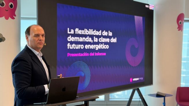 Octopus presenta un nuevo modelo de gestión que ahorrará 2.500 millones al sistema eléctrico