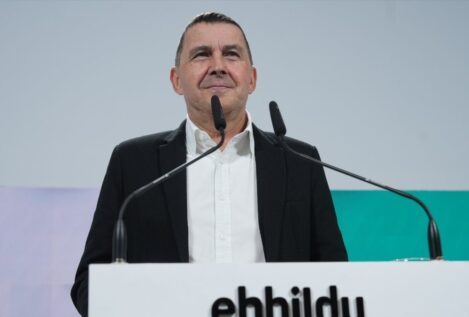Otegi, a Ayuso: Bildu «no asalta nada» y está en las instituciones «con los votos de la gente»