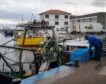 Bruselas pide reducir un 70% la pesca en el Mediterráneo: golpe a la gamba roja y la cigala