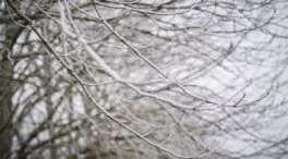 El año acaba este miércoles con avisos en seis provincias por nieblas, olas y frío