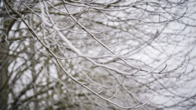 El año acaba este miércoles con avisos en seis provincias por nieblas, olas y frío